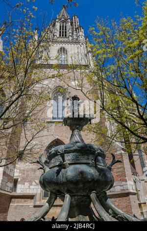 Fontaine aux dauphins sur la Muensterplatz par Wolfgang Neithard, éléments aquatiques, figures de bronze, chevaux, derrière la cathédrale d'Ulm, Ulm, Bade-Wurtemberg, Allemagne Banque D'Images