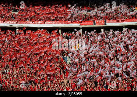 Fanblock SC Freiburg SCF, finale de la coupe DFB 79th, Olympiasstadion, Berlin, Allemagne Banque D'Images