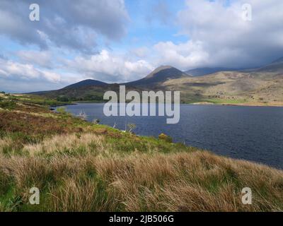 Paysage vallonné irlandais à Lough Acoose, un lac intérieur sur l'anneau du Kerry. Lough Acoose, Curraghbeg, Kerry, Irlande Banque D'Images