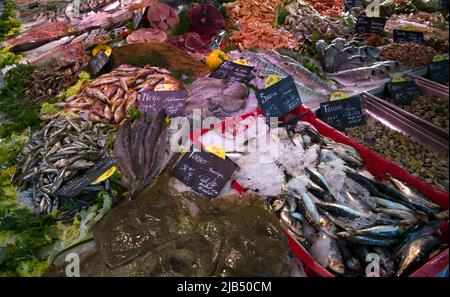 Poisson frais et fruits de mer, sole, sardines, calmar, merlan, Crevettes, marché, marché hebdomadaire, Aix-en-Provence, Bouches-du-Rhône Banque D'Images