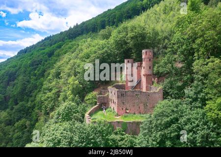 Vue aérienne, Château de Schadeck, également connu sous le nom de Nest de Swallow, ruine d'un château médiéval à flanc de colline sur un site rocheux au 190 utricularia ochroleuca (ue.) Banque D'Images