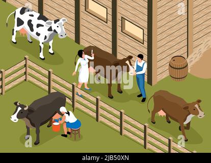 Le vétérinaire du bétail visite la composition isométrique de la ferme laitière familiale avec une femme qui traite la vache dans l'illustration vectorielle de enclos Illustration de Vecteur