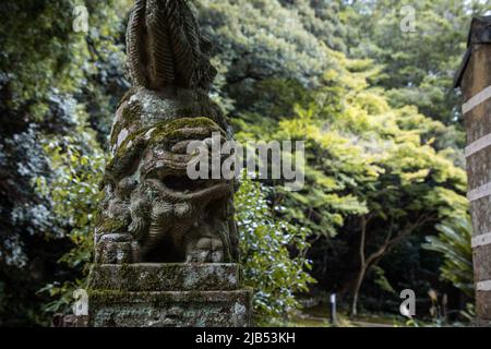 Ancienne statue de Komainu (chien de garde en forme de lion) avec mousse dans le sanctuaire d'Izumo Taisha, Izumo, Shimane, Japon. Banque D'Images