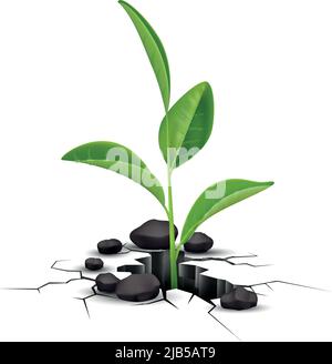 Fissures de la plante dans la terre composition réaliste avec image isolée de la pousse verte à partir du trou dans l'illustration du vecteur de la terre Illustration de Vecteur