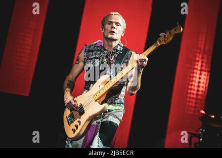 ZURICH, HALLENSTADION, OCTOBRE 5th 2016 : brocante, bassiste du groupe de rock américain Red Hot Chili Peppers, en direct sur scène pour la branche suisse du « Getaway World Tour » Banque D'Images