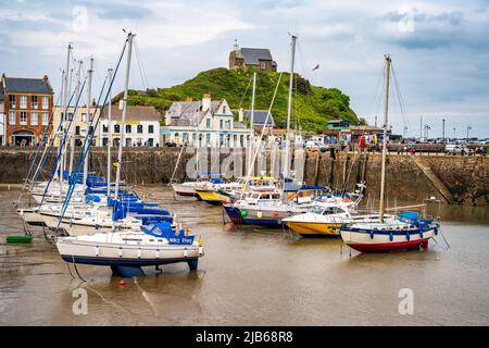 Le port de la station balnéaire d'Ilfracombe, Devon, Royaume-Uni. La chapelle Saint-Nicolas, sur Lantern Hill, surplombe le port. Banque D'Images