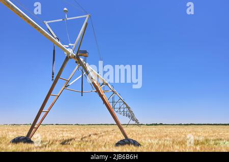 détail d'un système d'irrigation à pivot circulaire dans un champ de céréales avant la tonte Banque D'Images