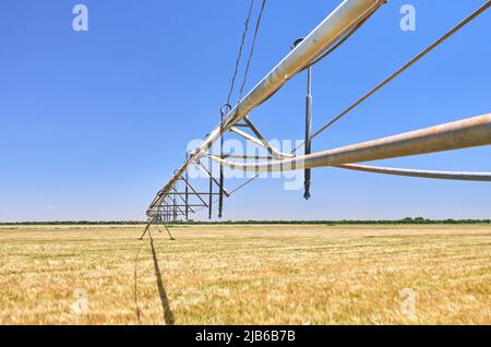 détail d'un système d'irrigation à pivot circulaire dans un champ de céréales avant la tonte Banque D'Images