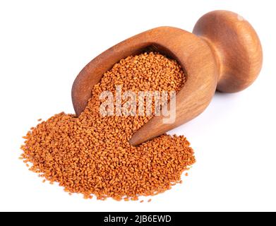 Graines de Camelina sativa dans une pelle en bois, isolée sur fond blanc. Graines de camelina ou de lin factice. Matière première pour l'huile de caméline Banque D'Images