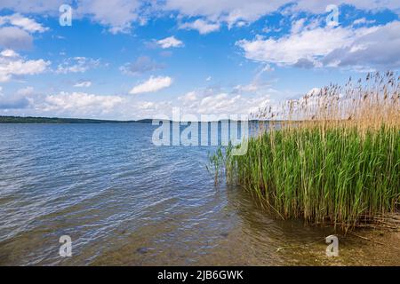 Vue sur le lac Berzdorfer Voir près de Goerlitz, Allemagne. Banque D'Images