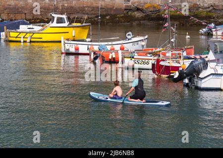 Une mère et son fils, tous deux en combinaison, paddle-board dans le port de pêche cornish de Porthleven. Banque D'Images