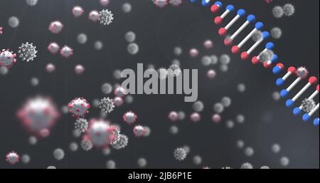 Image des cellules covides 19 et de la rotation des brins d'adn Banque D'Images