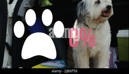 Icône Paw avec un pourcentage croissant contre un chien assis à l'arrière d'une voiture Banque D'Images