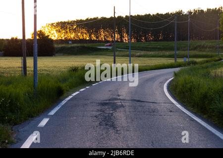 Route rurale dans le champ de récolte de céréales d'orge au printemps. Photo de haute qualité Banque D'Images