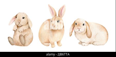 Petits lapins sur un fond blanc isolé, illustration aquarelle, animal boisé mignon, lapin de pâques, lapins Banque D'Images