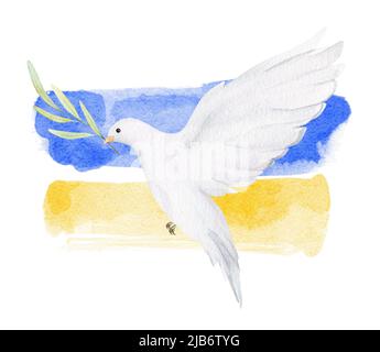 L'aquarelle paix colombe avec branche d'olivier. Priez pour l'Ukraine Banque D'Images