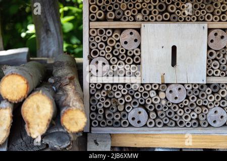 Un hôtel d'insectes pour les abeilles, les guêpes et autres insectes faits de bois ancien. Banque D'Images