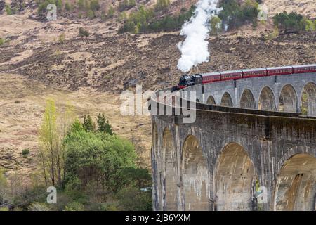 Train à vapeur Jacobite qui survolez le viaduc de Glenfinnan Banque D'Images