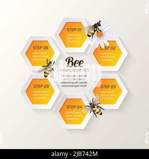 Abeille sur fond Daisy et peigne étapes hexagonales illustration vectorielle de l'infographie Illustration de Vecteur