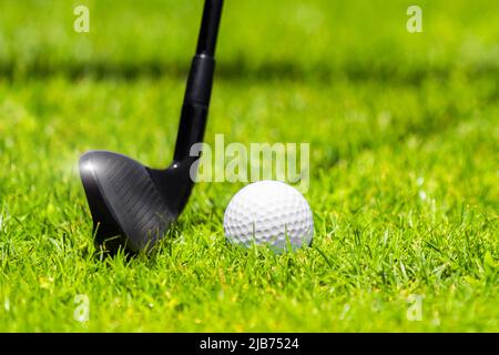 Club de fer de golf prêt à frapper une balle sur l'herbe verte sur le terrain de golf Banque D'Images