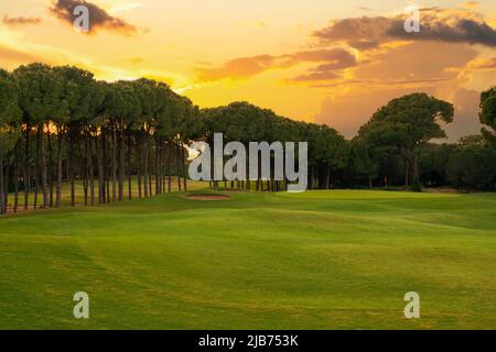 Parcours de golf au coucher du soleil avec un magnifique ciel spectaculaire. Vue panoramique sur le parcours de golf. Magnifique terrain de golf avec pins Banque D'Images