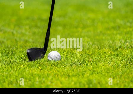 Club de fer de golf prêt à frapper une balle sur l'herbe verte sur le terrain de golf Banque D'Images