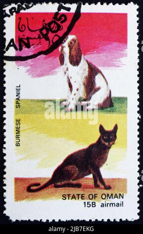 OMAN - VERS 1972 : un timbre imprimé en Oman montre le chat birman et le chien d'Espagne, vers 1972 Banque D'Images
