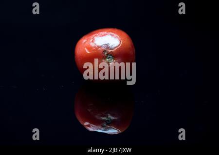 Gros plan sur les tomates mouleuses. Banque D'Images