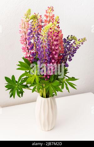 Lupinus dans un vase blanc contre un mur blanc, partie d'un intérieur de maison, décoration de maison avec des fleurs lupin, confortable fond d'été Banque D'Images