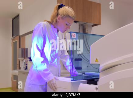 Une jeune étudiante prend ses fonctions d'assistante de laboratoire. Elle porte une blouse médicale blanche. Elle est vue analyser et faire des recherches sur son lieu de travail. Banque D'Images