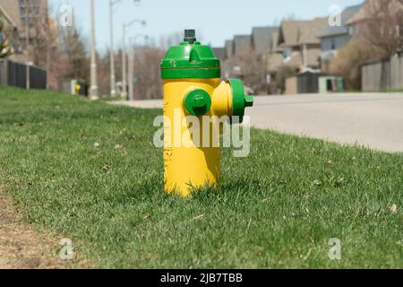 Une petite borne d'incendie jaune-vert se distingue sur l'herbe par le côté de la route sur la rue. Banque D'Images