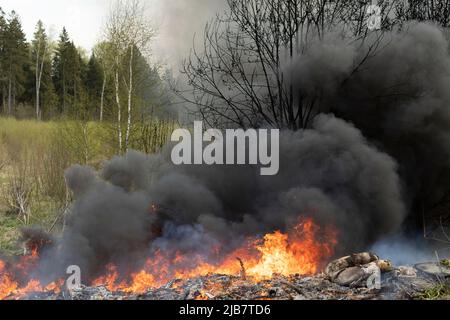 Feu dans la nature. Une décharge illégale est en feu. Fumée noire et feu. Incinération des déchets. Feu en forêt. Urgence. Banque D'Images