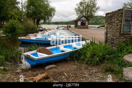 une ligne de bateaux à ramer en bois peint bleu et blanc reliés à une jetée en bois sur un lac de sports nautiques Banque D'Images