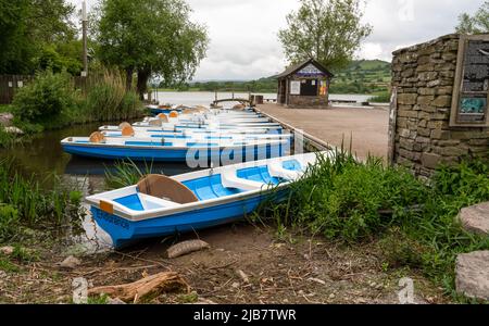 une ligne de bateaux à ramer en bois peint bleu et blanc reliés à une jetée en bois sur un lac de sports nautiques Banque D'Images