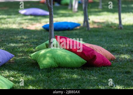 Étudiants assis sur des coussins sous les arbres Banque D'Images