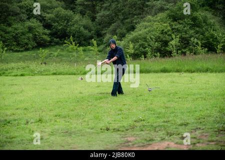 Un merlin (Falco Columbariaus) a appelé CAPTIN 'Jack' Sparrow en vol à la poursuite d'une leurre balancé par son entraîneur au British Bird of Prey Centre Banque D'Images