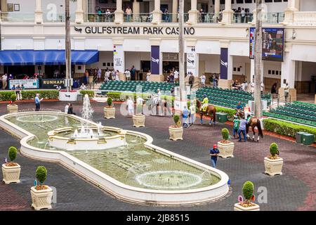 Hallandale Florida Miami, circuit de course de Gulfstream Park hippodrome champ de courses de chevaux pur-sang, paddle de marche chevaux de bague Banque D'Images