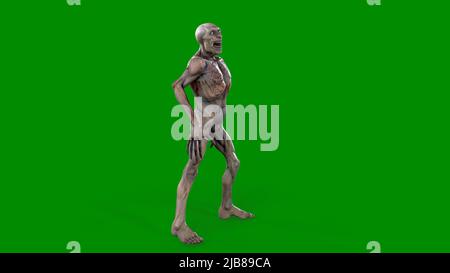 Le personnage de fantaisie Zombie Undead dans une posture épique - 3D rendu sur fond vert isolé Banque D'Images