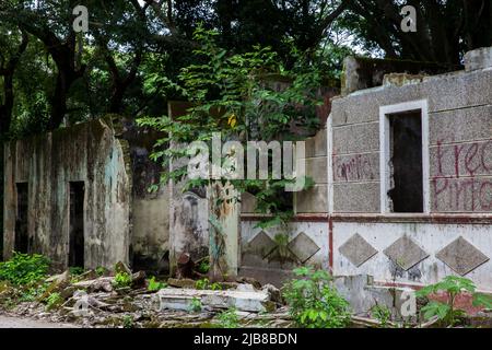 Vestiges des maisons détruites de la ville d'Armero couvertes d'arbres et de nature après 37 ans de la tragédie provoquée par le volcan Nevado del Ruiz Banque D'Images