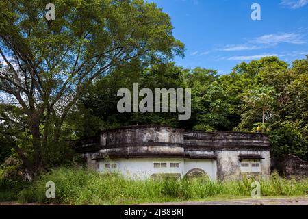Vestiges des maisons détruites de la ville d'Armero couvertes d'arbres et de nature après 37 ans de la tragédie provoquée par le volcan Nevado del Ruiz Banque D'Images