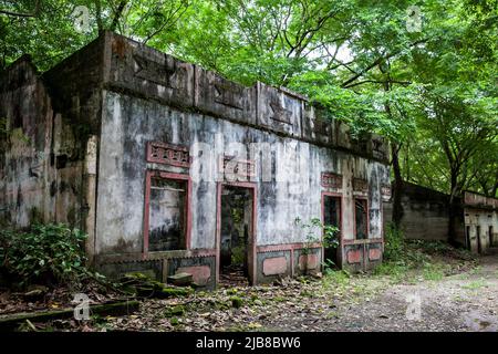 Vestiges des maisons détruites de la ville d'Armero couvertes d'arbres et de nature après 37 ans de la tragédie provoquée par le volcan Nevado del Ruiz Banque D'Images