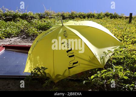 Rothen, Allemagne. 03rd juin 2022. Un parapluie jaune avec l'inscription « Art Open » est suspendu au Rothener Hof, invitant les visiteurs à voir l'exposition « Between US » de cinq artistes féminins. Au cours de la campagne nationale « Art Open », environ 900 artistes de plus de 500 sites ouvriront leurs ateliers et studios aux visiteurs le week-end de Whitsun de 04 à 06,2022. Credit: Bernd Wüstneck/dpa/Alay Live News Banque D'Images