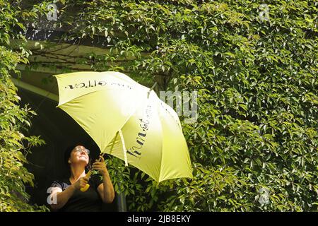 Rothen, Allemagne. 03rd juin 2022. Takwe Kaenders ouvre un parapluie jaune avec l'inscription « Art Open » devant son atelier à Rothener Hof pour inviter les visiteurs à voir l'exposition « entre nous » de cinq artistes féminins. Dans le cadre de la campagne nationale « Art Open », environ 900 artistes de plus de 500 sites ouvriront leurs ateliers et studios aux visiteurs le week-end de Whitsun de 04 à 06,2022. Credit: Bernd Wüstneck/dpa/Alay Live News Banque D'Images