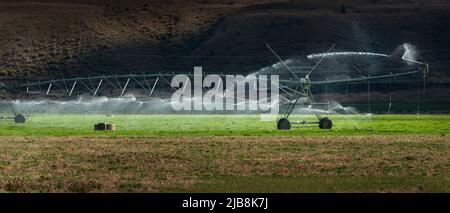 Un système d'irrigation sprinkleur est en cours sur un pâturage agricole dans la région d'Otago, île du Sud, Nouvelle-Zélande Banque D'Images