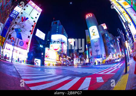 Traversée de nuit à la ville Neon de Shibuya Tokyo Banque D'Images