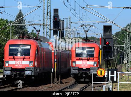 Potsdam, Allemagne. 03rd juin 2022. Le train régional RE 1 (r) quitte la gare Park-Sanssouci, tandis qu'un train arrive sur la voie adjacente en direction de Berlin. Crédit : Soeren Stache/dpa/Alay Live News Banque D'Images