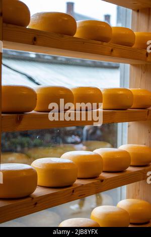 Fromage hollandais sur des étagères dans un show-case à Amsterdam. Banque D'Images