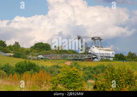 Une piste de dragsters préservée Bucyrus Erie 1150 qui reste sur l'ancien site de charbon de fonte de St Aidan, qui est maintenant le RSPB St Aidan's nature Park Banque D'Images