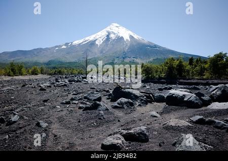 Paysage volcanique avec sol noir et forêt verte au pied du volcan Osorno, province de Los Lagos, Chili. Volcan avec un sommet enneigé Banque D'Images