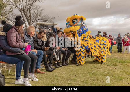 Canberra. 4th juin 2022. Photo prise sur 4 juin 2022 montre des gens qui regardent la danse du lion en célébration du festival des bateaux-dragons au bord du lac Burley Griffin à Canberra, en Australie. Credit: Chu Chen/Xinhua/Alay Live News Banque D'Images